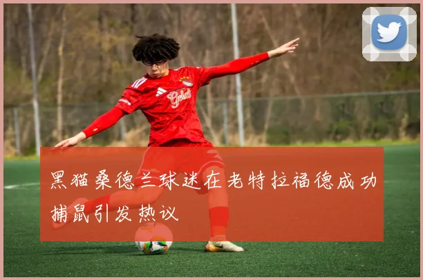 黑猫桑德兰球迷在老特拉福德成功捕鼠引发热议