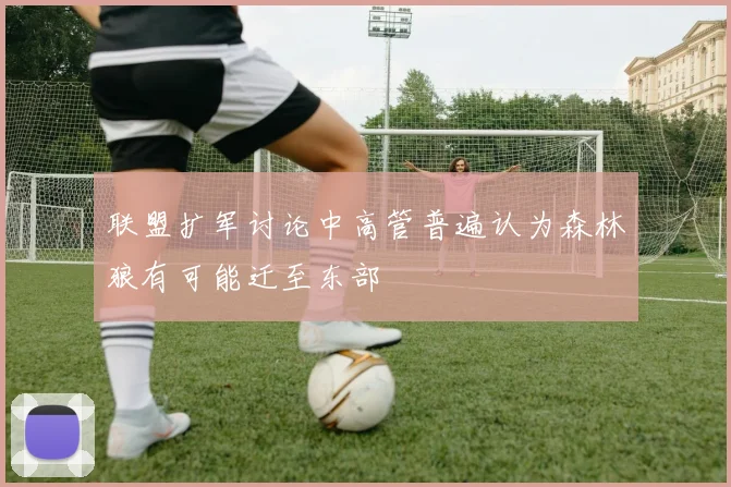 联盟扩军讨论中高管普遍认为森林狼有可能迁至东部