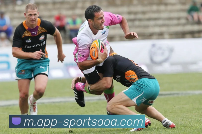 多媒体互动体验